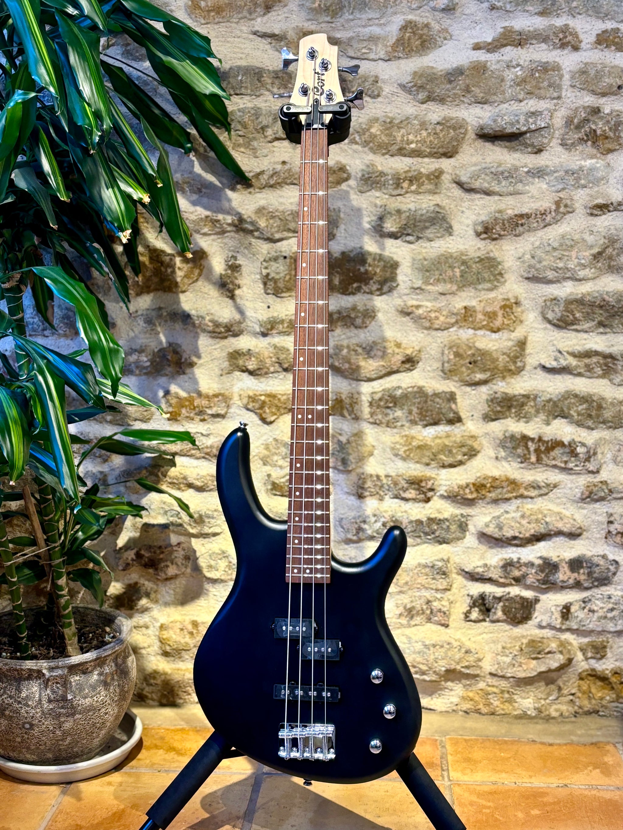 Cort Action PJ Bass - Open Pore Black – Moonflower Guitars Ltd