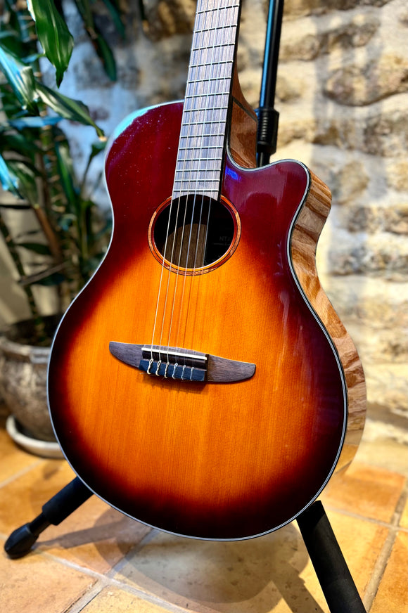 Yamaha 2019 NTX1 Electro-Classical - Brown Sunburst (Pre-owned)