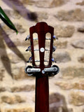 Rathbone No. 6 Electro-Acoustic - Parlour / Mahogany
