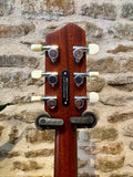 LR Baggs AEG-1 Acoustic Electric - Torrefied