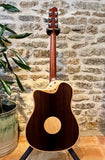 LR Baggs AEG-1 Acoustic Electric - Torrefied