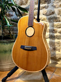 LR Baggs AEG-1 Acoustic Electric - Torrefied