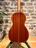 James Neligan LIS-P Lismore Acoustic - Parlour (Pre-owned)