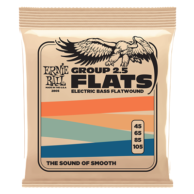 Ernie Ball Flatwound Electric Bass Strings - Group 2.5 / 45-105