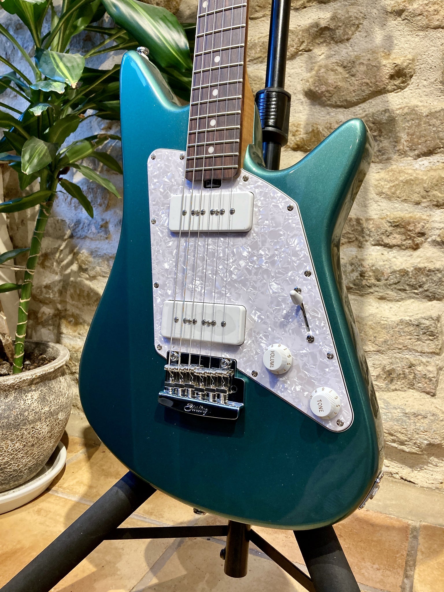 Sterling by Music Man Albert Lee AL40P - Sherwood Green (B STOCK 